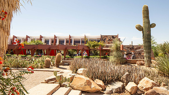 Taliesin West (1937-59) (7)