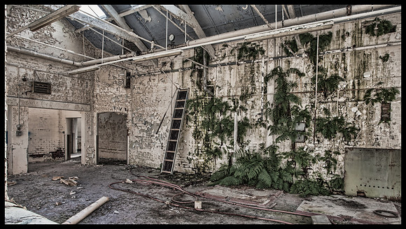 Architecture distressed-St Mary's Hospital, Stannington, Northumberland (dem. 2015)-2