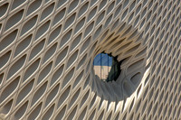 The Broad, Los Angeles (Diller Scorfidio+Renfrew, 2015) (1)