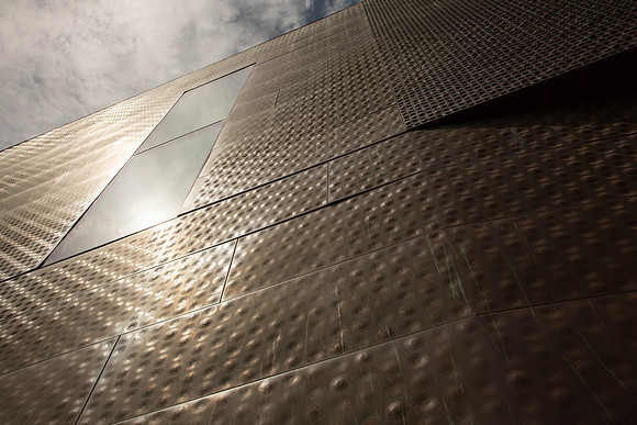 M. H. de Young Museum, San Francisco (Herzog & de Meuron, 2005) (5)