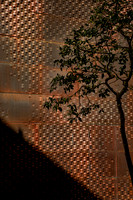 M. H. de Young Museum, San Francisco (Herzog & de Meuron, 2005) (7)