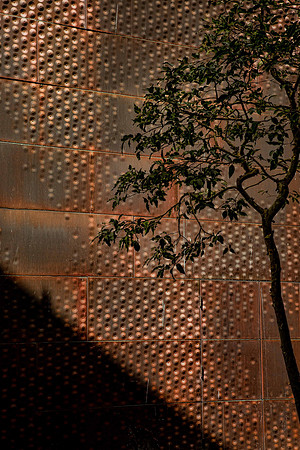 M. H. de Young Museum, San Francisco (Herzog & de Meuron, 2005) (7)