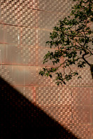 M. H. de Young Museum, San Francisco (Herzog & de Meuron, 2005) (8)