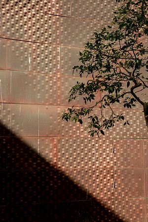 M. H. de Young Museum, San Francisco (Herzog & de Meuron, 2005) (8)