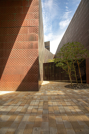 M. H. de Young Museum, San Francisco (Herzog & de Meuron, 2005) (9)