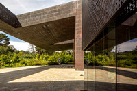 M. H. de Young Museum, San Francisco (Herzog & de Meuron, 2005) (11)