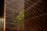 M. H. de Young Museum, San Francisco (Herzog & de Meuron, 2005) (13)