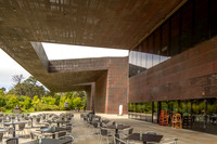 M. H. de Young Museum, San Francisco (Herzog & de Meuron, 2005) (15)