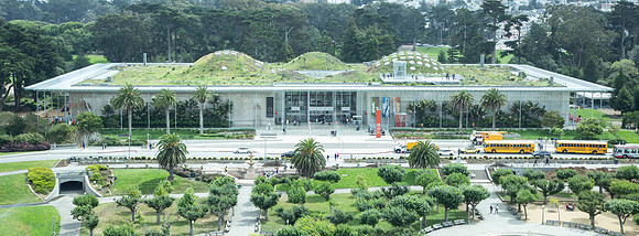 California Academy of Sciences, San Francisco (Renzo Piano, 2000-2008)