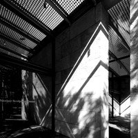 Nasher Sculpture Centre, Dallas TX (Renzo Piano, 1999-2005) (1)