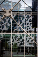 The BARCODE project, Oslo (7)