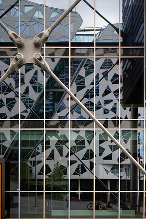 The BARCODE project, Oslo (7)