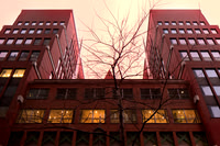 Castalia  Office Building, Den Haag (Michael Graves, 1998) (5)