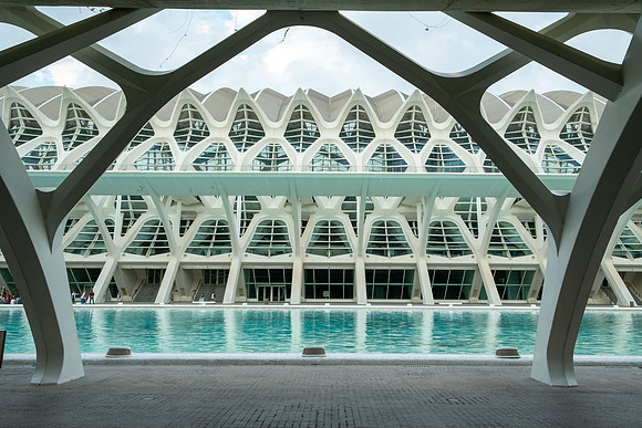 City of Arts and Sciences, Valencia, Spain ( Santiago Calatrava and Félix Candela, 1996-2005) (29)