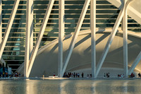 City of Arts and Sciences, Valencia, Spain ( Santiago Calatrava and Félix Candela, 1996-2005) (33)