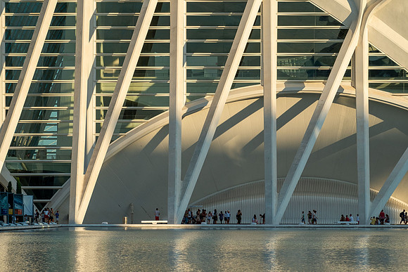City of Arts and Sciences, Valencia, Spain ( Santiago Calatrava and Félix Candela, 1996-2005) (33)