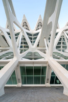 City of Arts and Sciences, Valencia, Spain ( Santiago Calatrava and Félix Candela, 1996-2005) (38)