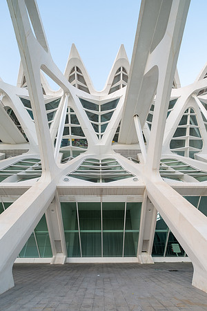 City of Arts and Sciences, Valencia, Spain ( Santiago Calatrava and Félix Candela, 1996-2005) (38)