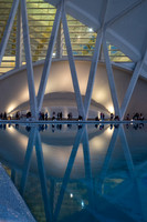 City of Arts and Sciences, Valencia, Spain ( Santiago Calatrava and Félix Candela, 1996-2005) (40)