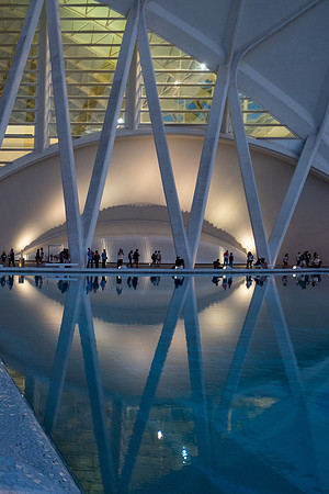 City of Arts and Sciences, Valencia, Spain ( Santiago Calatrava and Félix Candela, 1996-2005) (40)
