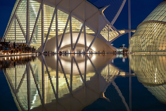 City of Arts and Sciences, Valencia, Spain ( Santiago Calatrava and Félix Candela, 1996-2005) (43)