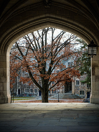 Princton University-10