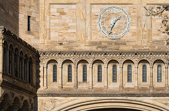 Yale University-4