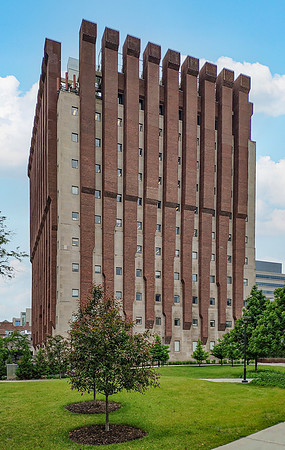 425—Cummings Life Sciences