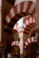 Hypostyle Hall pillars, Mezquita-Cathedral de Cordoba (5)