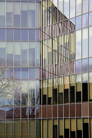 Scottish Widows, Dalkeith Rd, Edinburgh-Spence, Glover & Ferguson (1972-76)