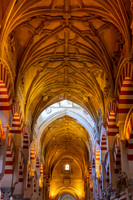 Hypostyle Hall pillars, Mezquita-Cathedral de Cordoba (6)
