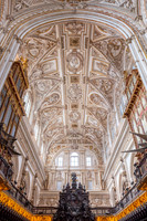 Choir, Mezquita-Cathedral de Cordoba (17)