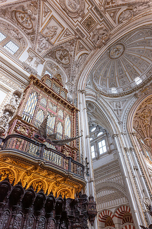 Choir, Mezquita-Cathedral de Cordoba (18)